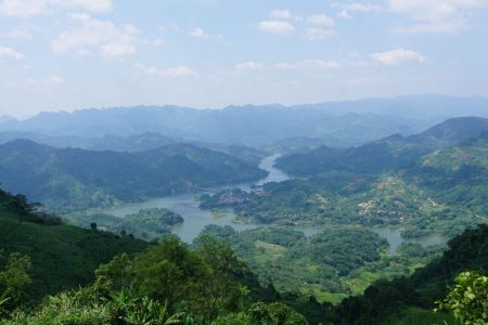 Why picking Ancient Snow Shan Tea in Ha Giang is an unforgettable experience