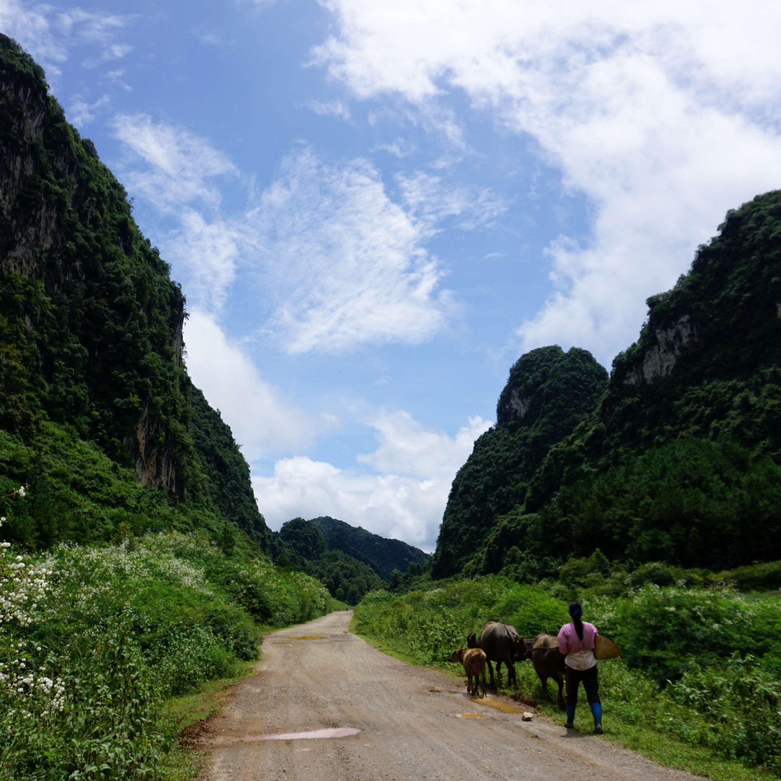 Essential tips for traveling during Vietnam’s rainy season in the Northeast region
