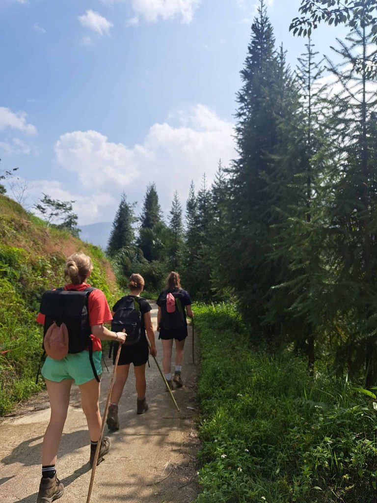 Randonneurs entre les pins, trek du Tay Con Linh, Ha Giang