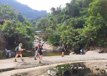 2 Days Dao Village Eco – Trek: Sustainable Highland Pathways Trekking