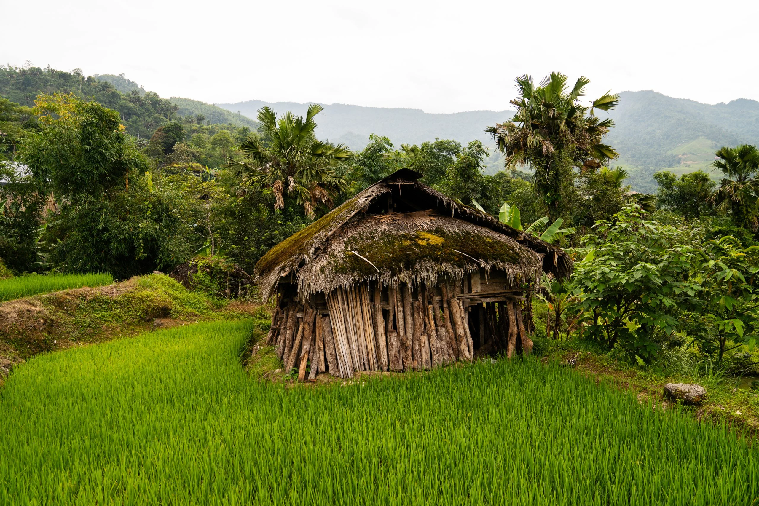 Nhà lán