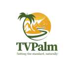 tvpalm logo