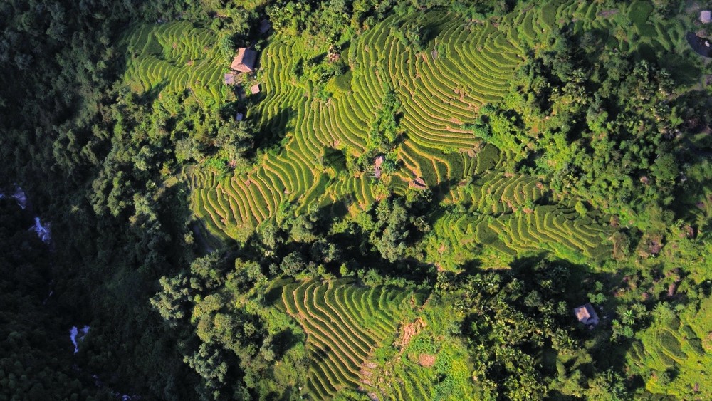 Meaning of the name "Tay Con Linh": 3 secrets of the sacred peak 6 Aerial View of Tay Con Linh