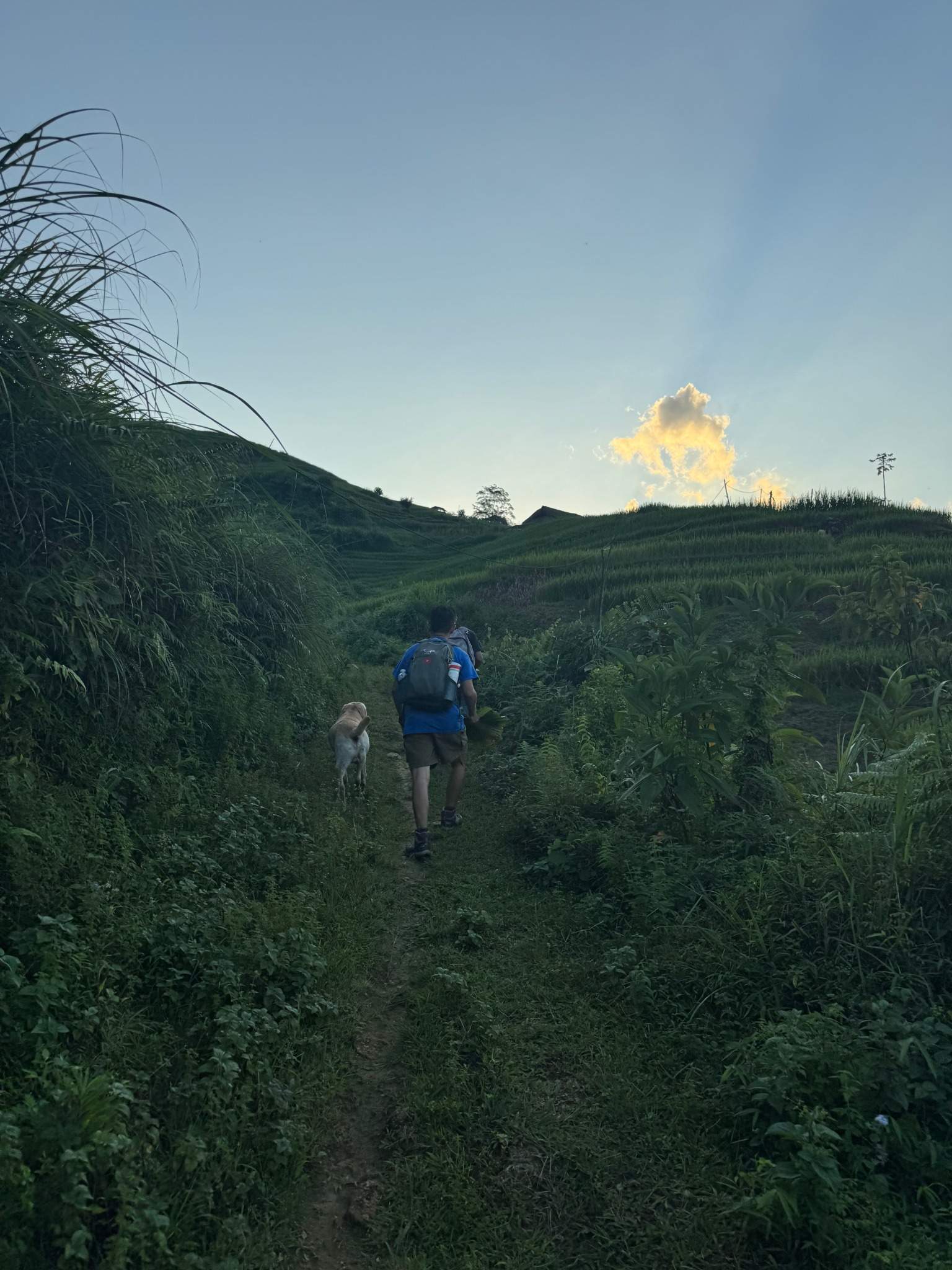 Wildlife & Conservation Policy 2 Discovering Vietnam, one trail at a time