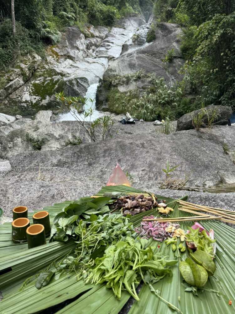 Sustainability Overview 1 Living plastic free at TVPalm