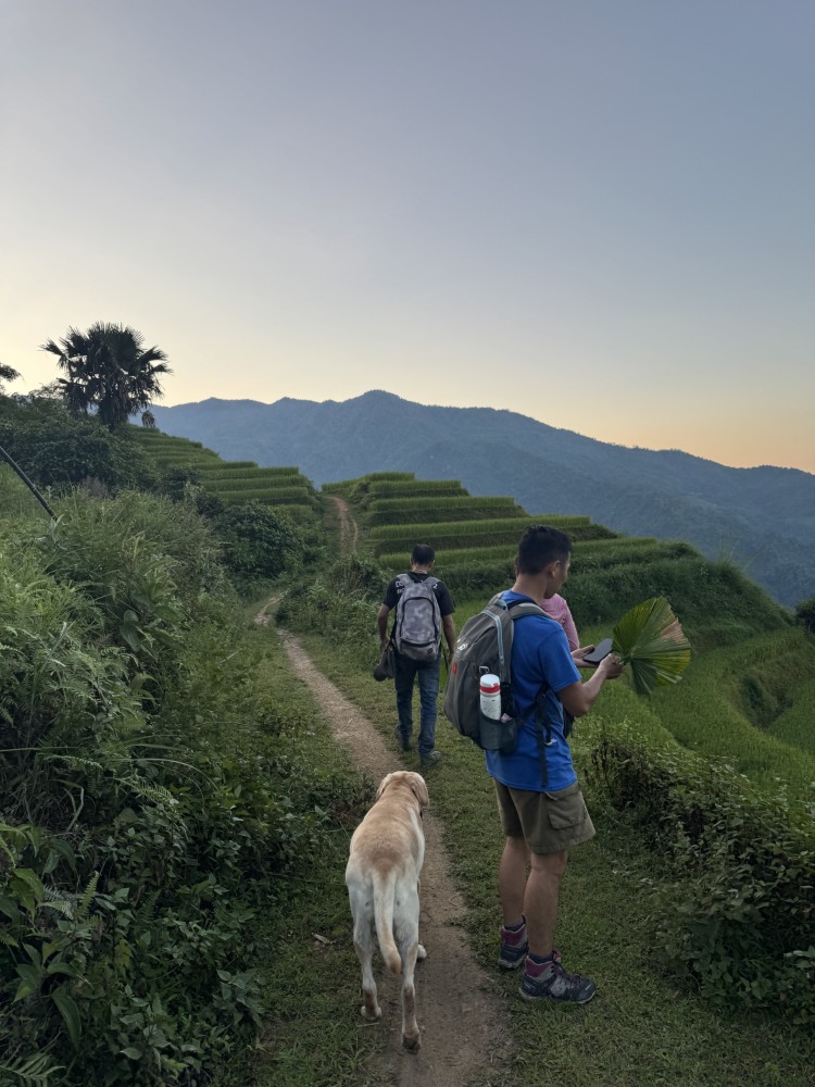 More than a trip - a shared journey