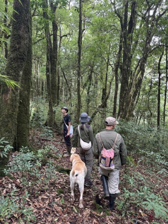 Trekking Tay Con Linh Mountain Discover the Ancient Mossy Forests of Ha Giang 11 More than a trip - a shared journey