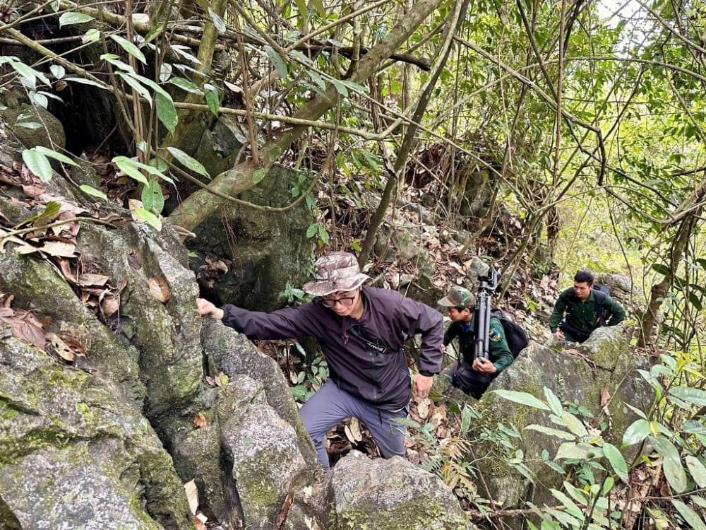 Wildlife & Conservation Policy 3 TVPalm Collaborates with Local Government on Forest Inspection