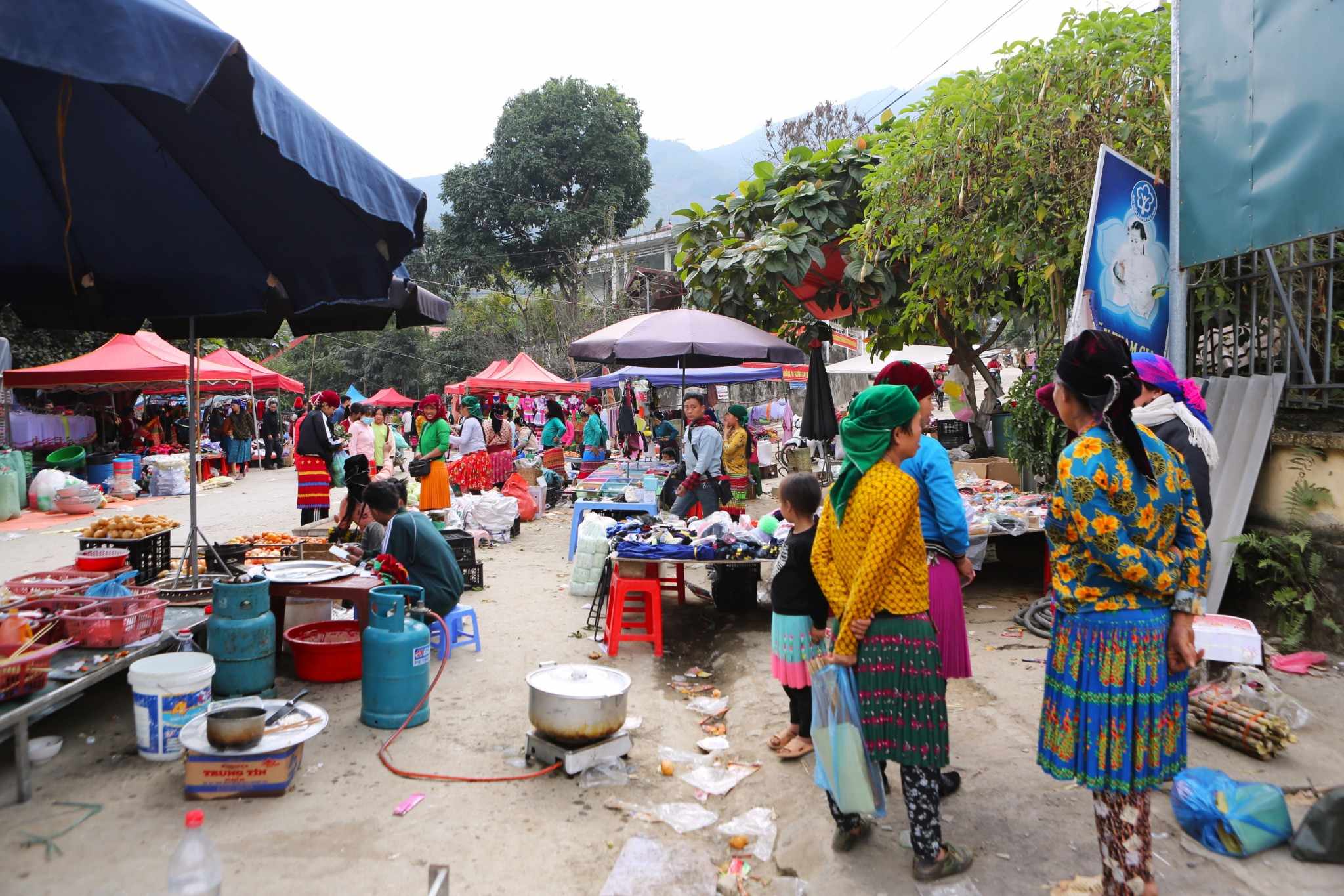 Vibrant weekly market