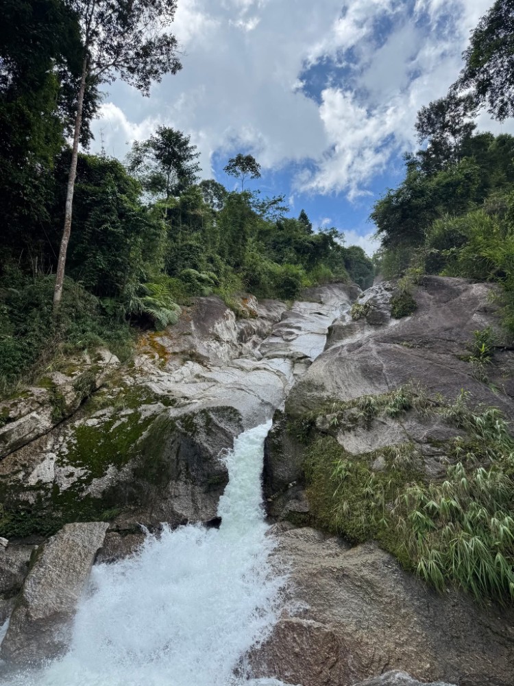 Trekking Tay Con Linh Mountain Discover the Ancient Mossy Forests of Ha Giang 12 Where the forest breathes, the stream whispers