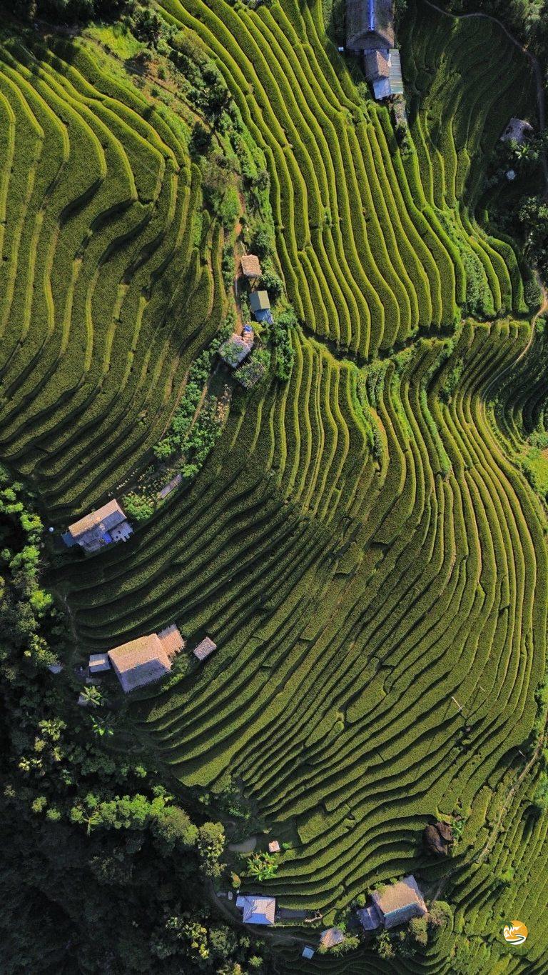 dji_fly_20250920_165242_843_1758544443003_photo_optimized