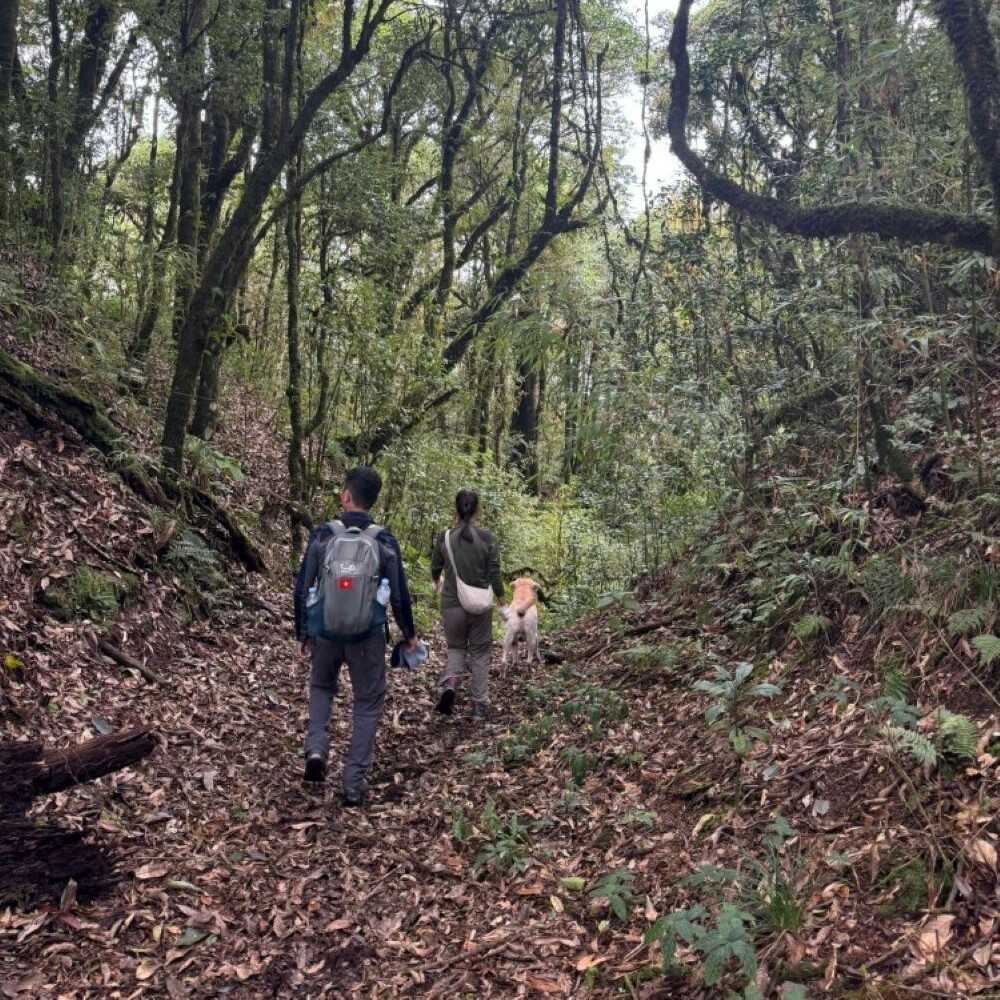 Trekking Ha Giang: The Ultimate Expert Guide from TVPalm