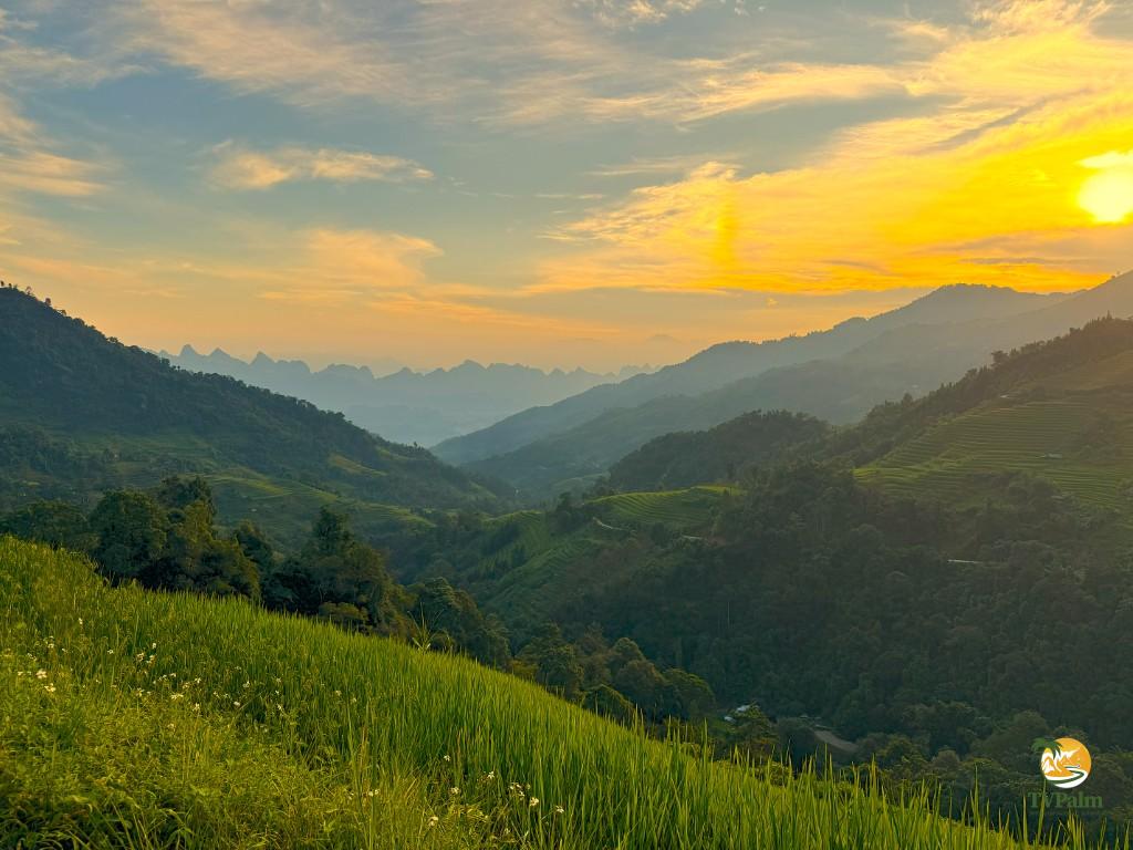 mountain TCL