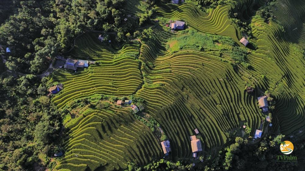 Tay Con Linh Mountain Climbing: The Ultimate Guide to the Roof of Northeast Vietnam 7 A bird's-eye view of terraced fields along the Tay Con Linh mountain climbing route