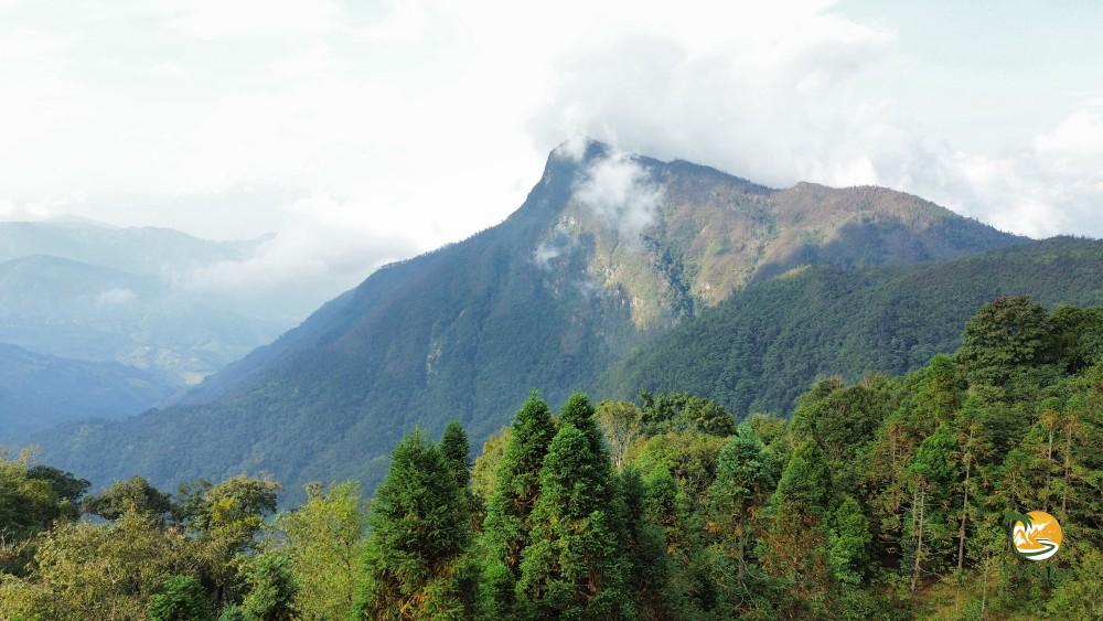 Tay Con Linh Mountain Climbing: The Ultimate Guide to the Roof of Northeast Vietnam 6 Conquering the majestic summit in your Tay Con Linh mountain climbing adventure