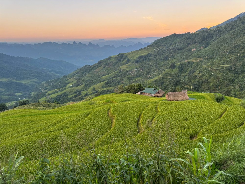 Tay Con Linh Trekking Guide by TVPalm: Discover the Mysterious Frontier 7 Golden season of terraced fields