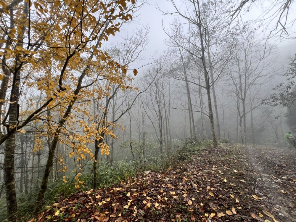 The solitude of off-the-beaten-path trails