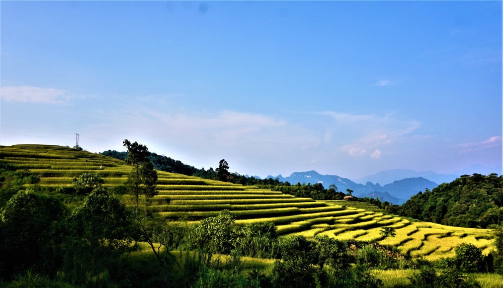 Best time to visit Ha Giang: A complete guide for an authentic journey 6 best time to visit ha giang stunning rice terraces