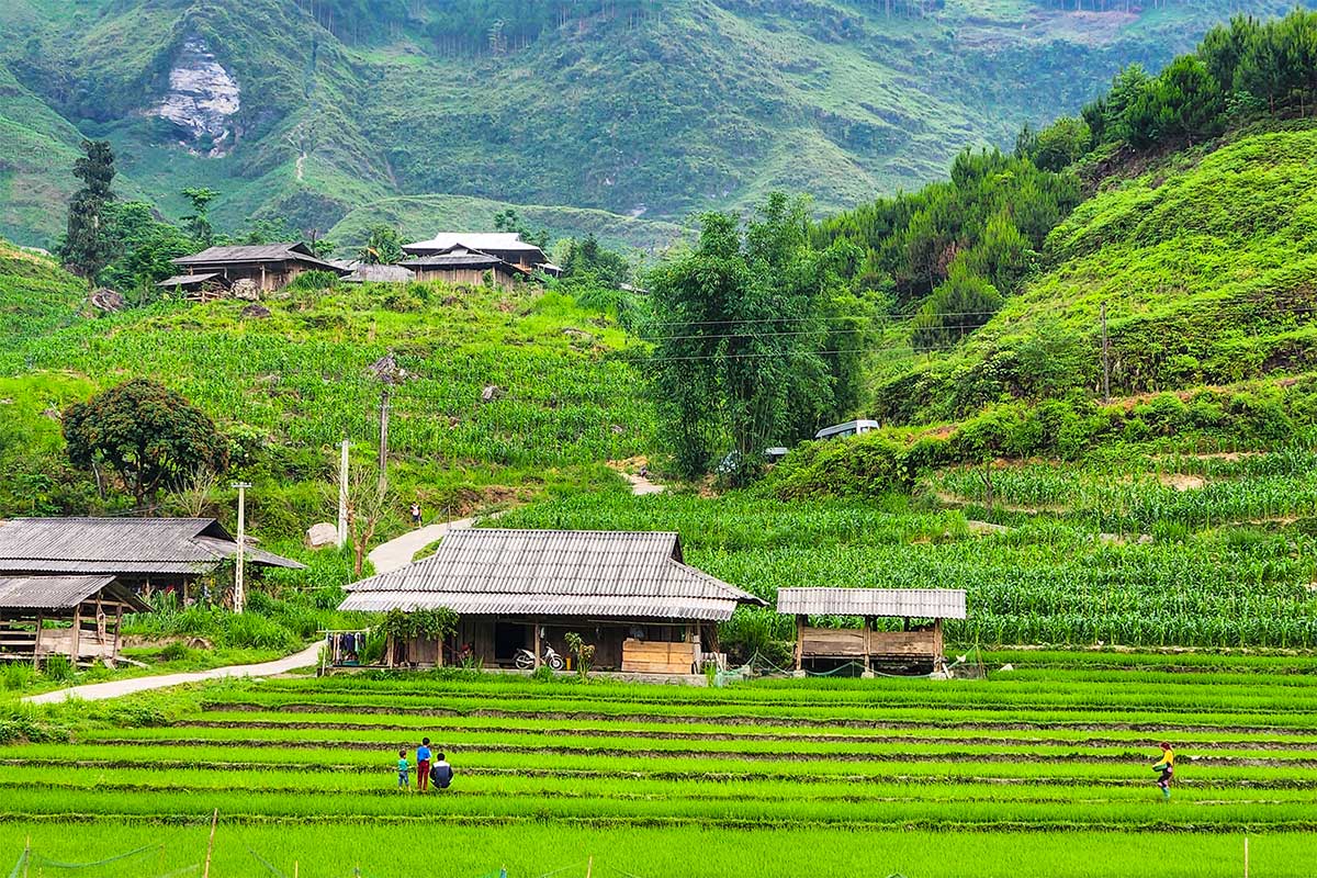 Top 5 Peaceful Villages in Ha Giang: An Authentic Escape 8 Du Gia village: A hidden paradise amidst lush green valleys