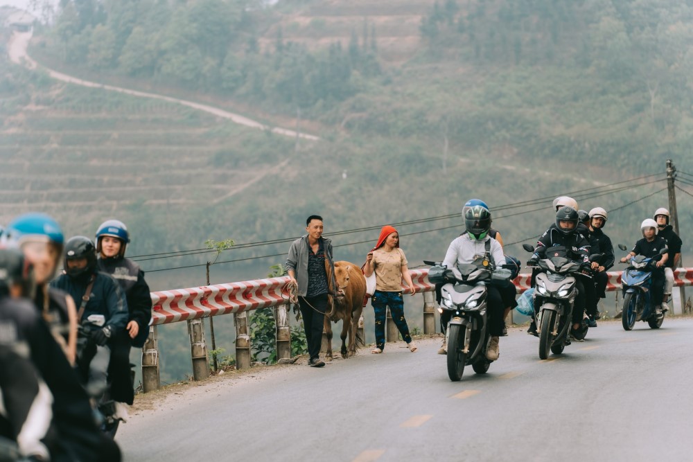 ha giang loop motorbike tour with local easy driver and traveler