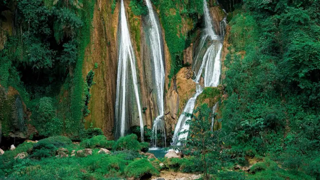 13 Best Photo Spots on Tay Con Linh Summit: 2026 Visual Guide 8 3. Centenarian Shan Tuyet tea forests
