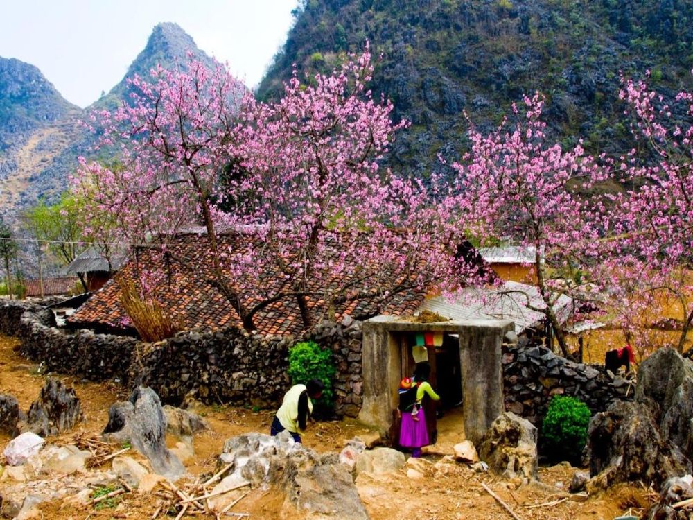 Bus Ticket Prices from Hanoi to Ha Giang Tet in Ha Giang