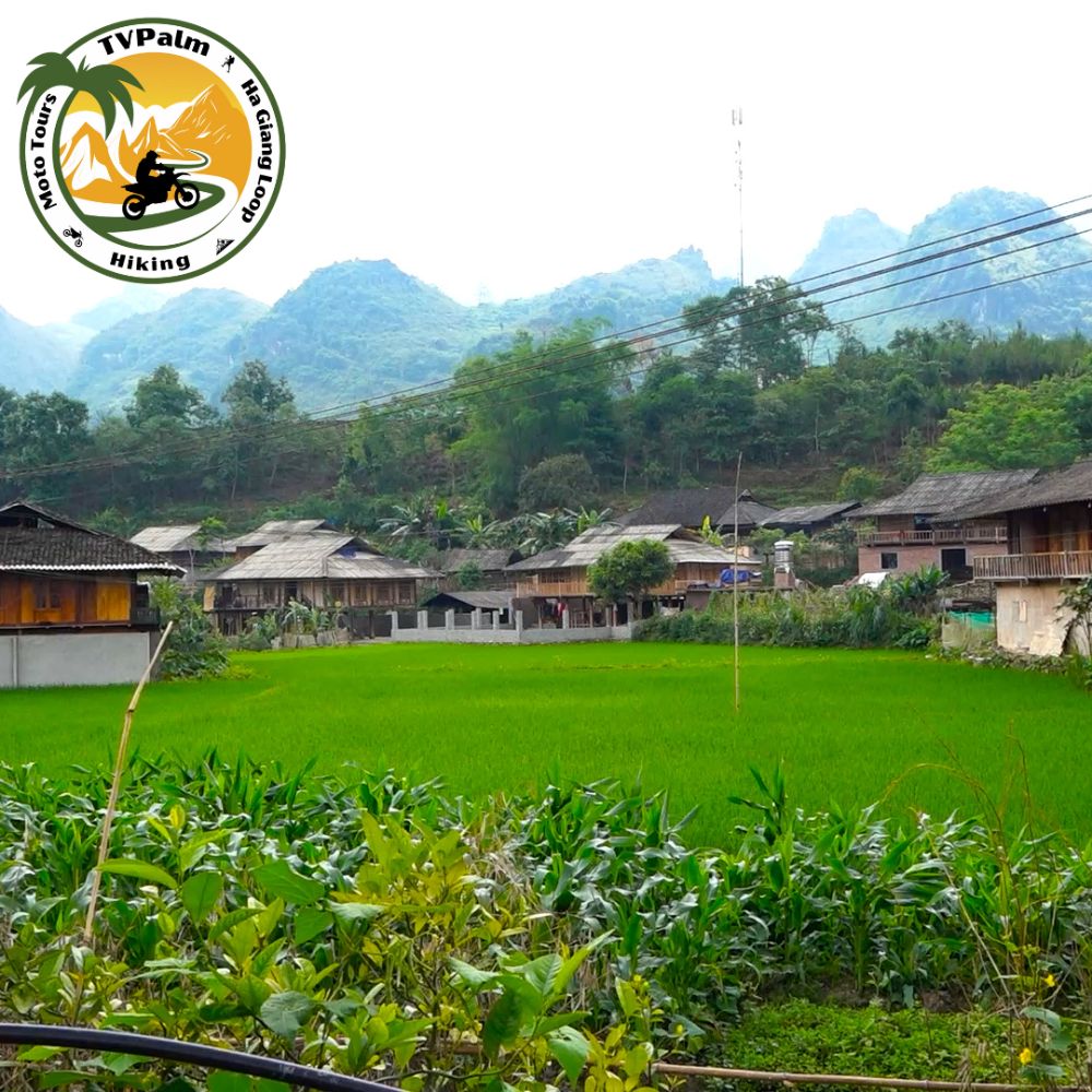 Du Gia Village Review, What Makes It So Interesting? 7 Du Gia Village