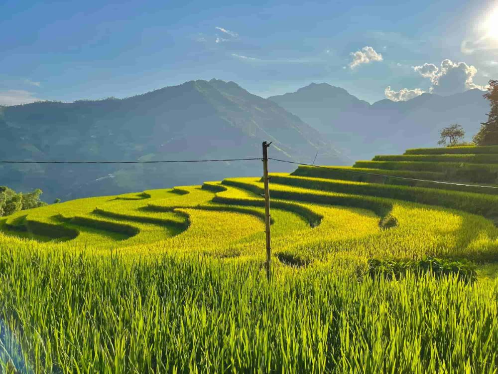 13 Best Photo Spots on Tay Con Linh Summit for Every Traveler 8 Ho Thau Terraced Fields - Best photo spots on Tay Con Linh summit