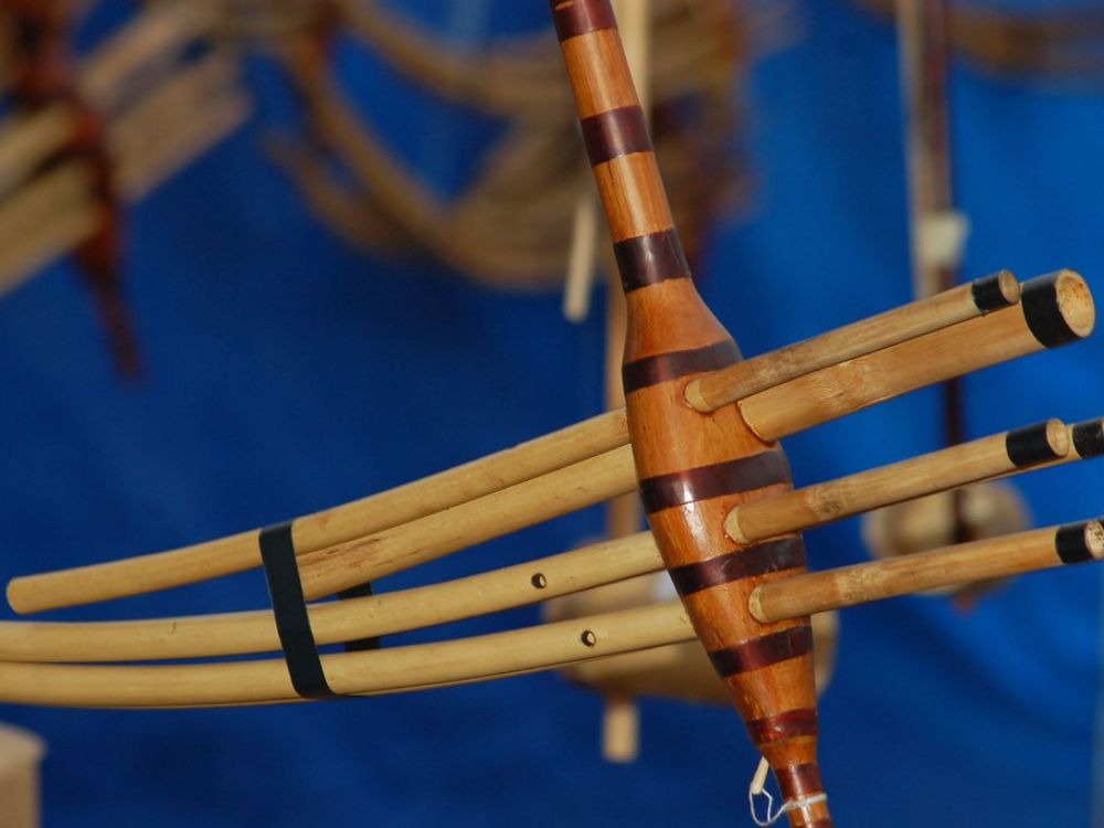 Traditional musical instruments - Ha Giang specialties to buy as souvenirs