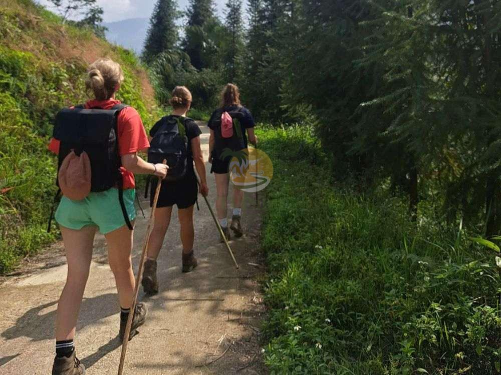 Adventurers walking on a scenic forest trail, part of a 2-day Tay Con Linh trekking experience