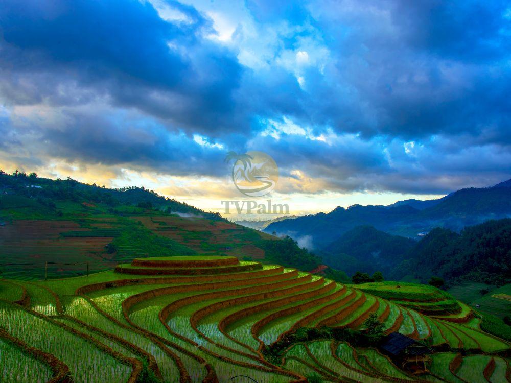 Beautiful rice paddies during a Ha Giang Loop tour 4 days