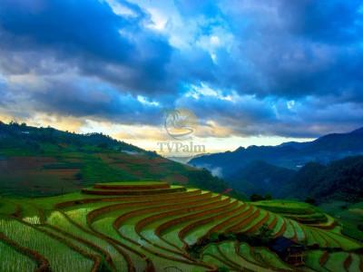 Beautiful rice paddies during a Ha Giang Loop tour 4 days