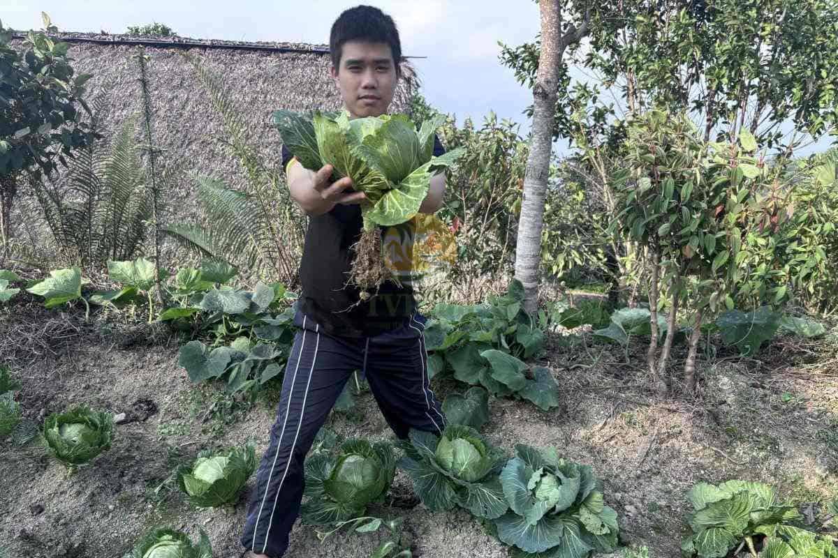 Freshly harvested organic produce at Palm Eco-Garden
