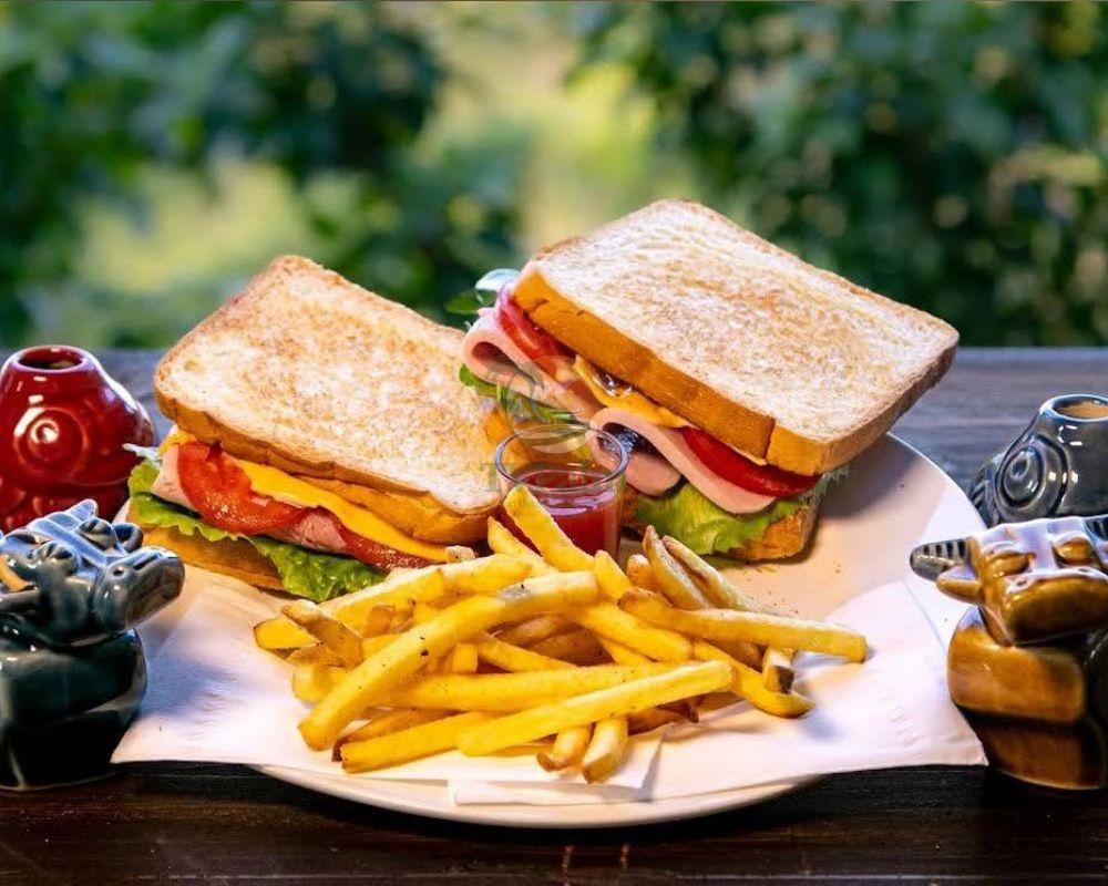Gourmet sandwich and fries at The Palm Restaurant