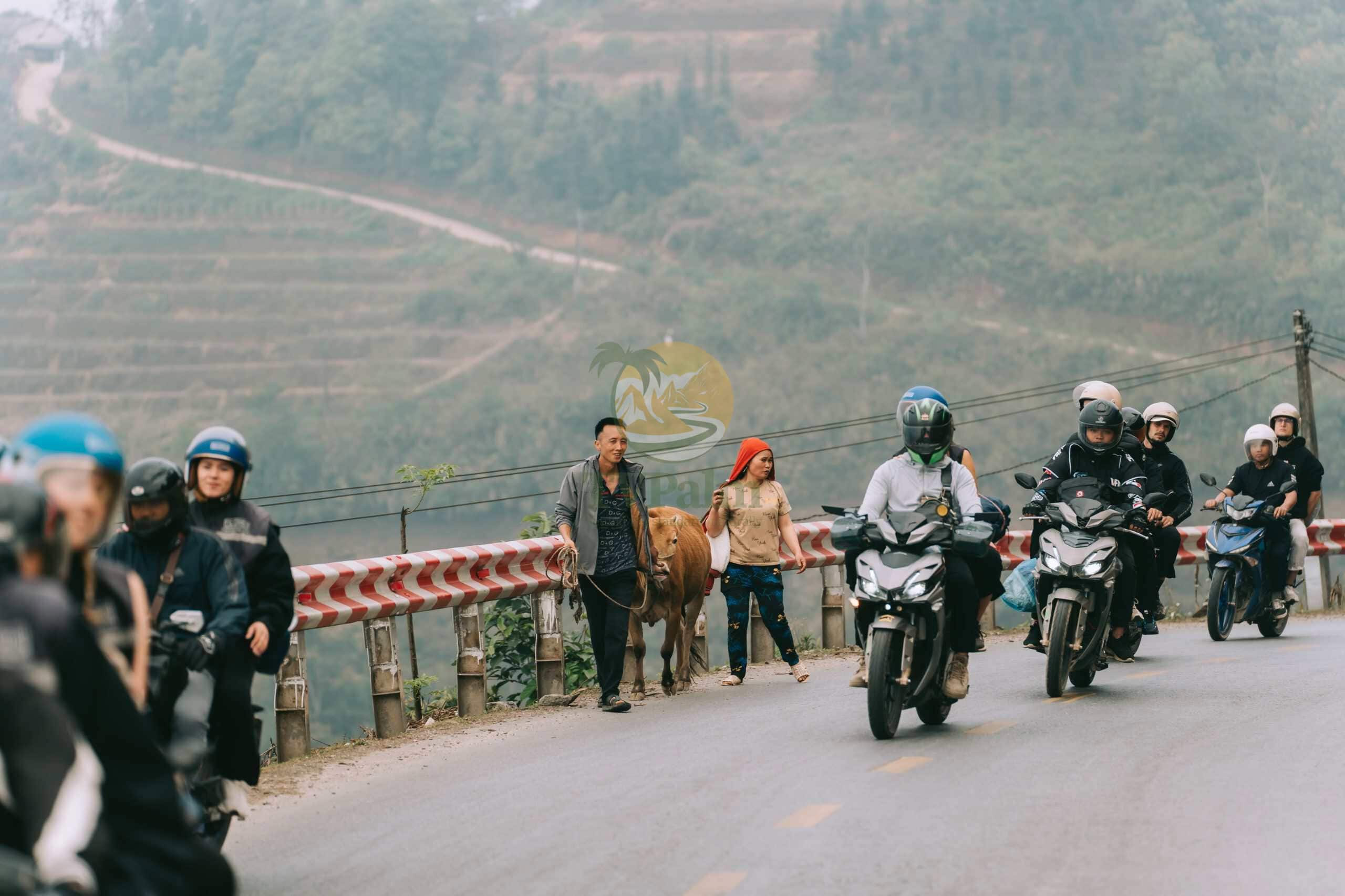 Ha Giang Loop Tour 3 Days