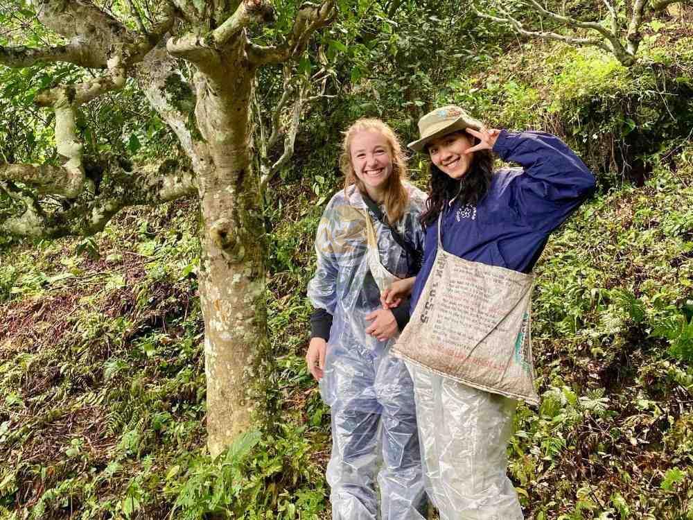 Happy visitors in a traditional 1 day ancient snow shan tea garden