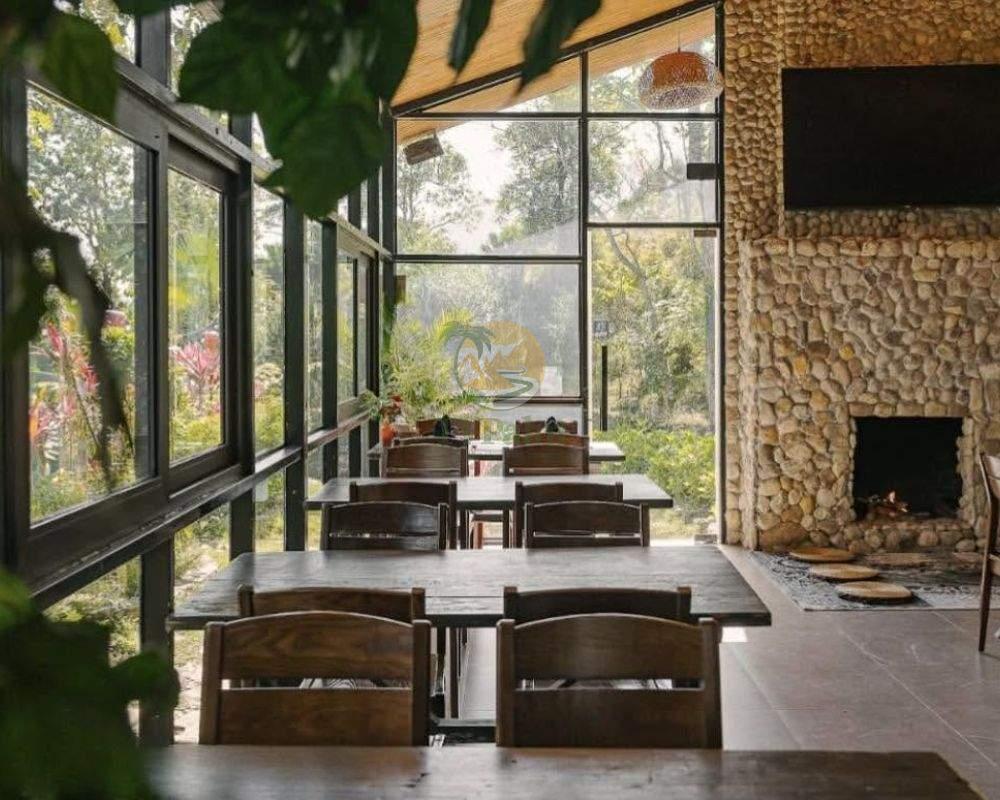 Interior ambiance at The Palm Restaurant
