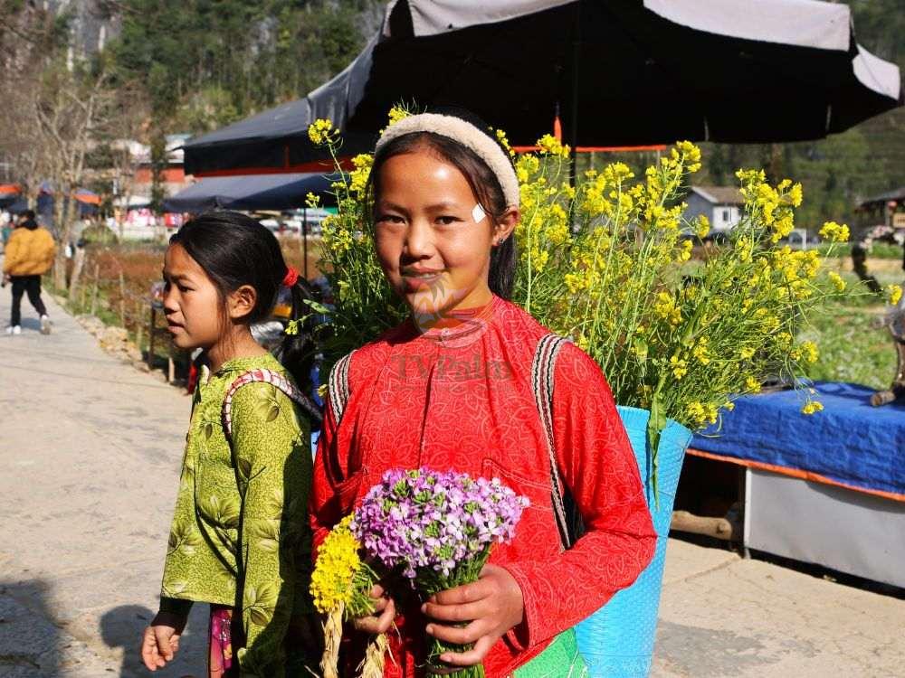 Local Hmong girl with flowers on Ha Giang loop 2 days