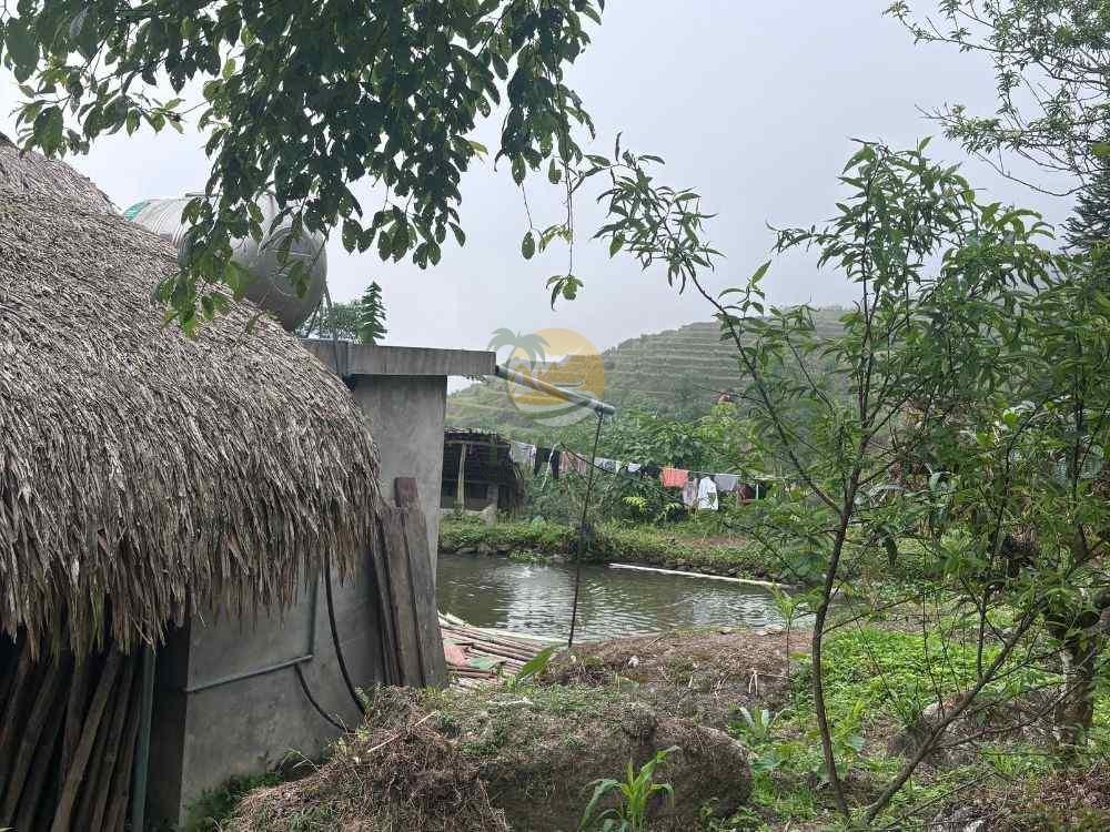 Local stilt house and pond scenery, 2 Days 1 Night Khuoi My - Xa Phin trip