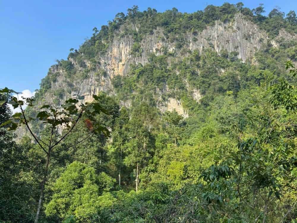 Mountain habitat overview