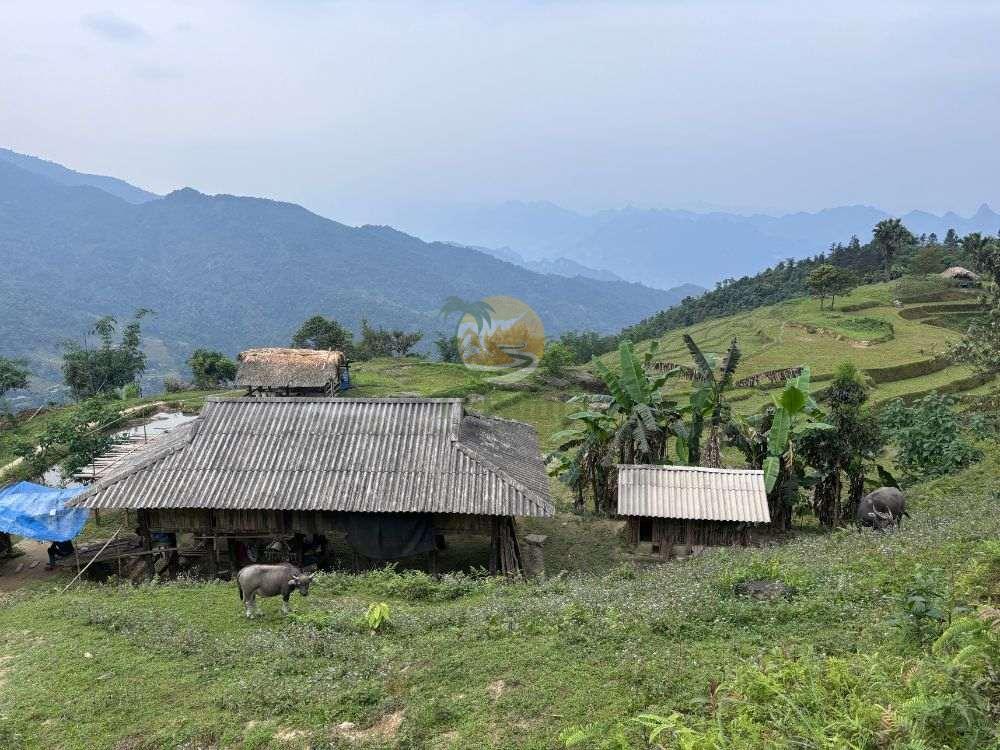 Mountain homestay stop on the 3-Day Tay Con Linh trekking itinerary