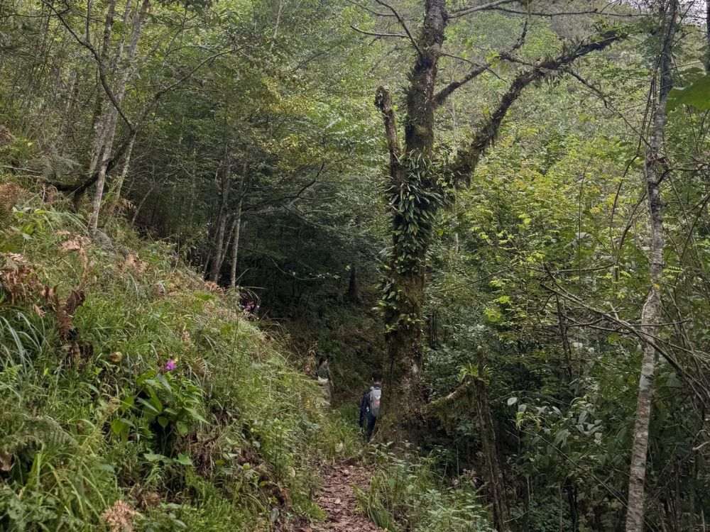 Nature does not work on a human schedule