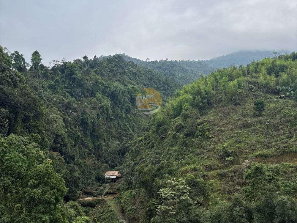 Panoramic view of lush green mountains, 2 Days 1 Night Khuoi My - Xa Phin itinerary