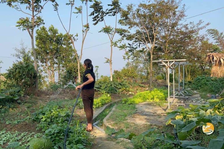 Peaceful pathway through the farm at Palm Eco-Garden