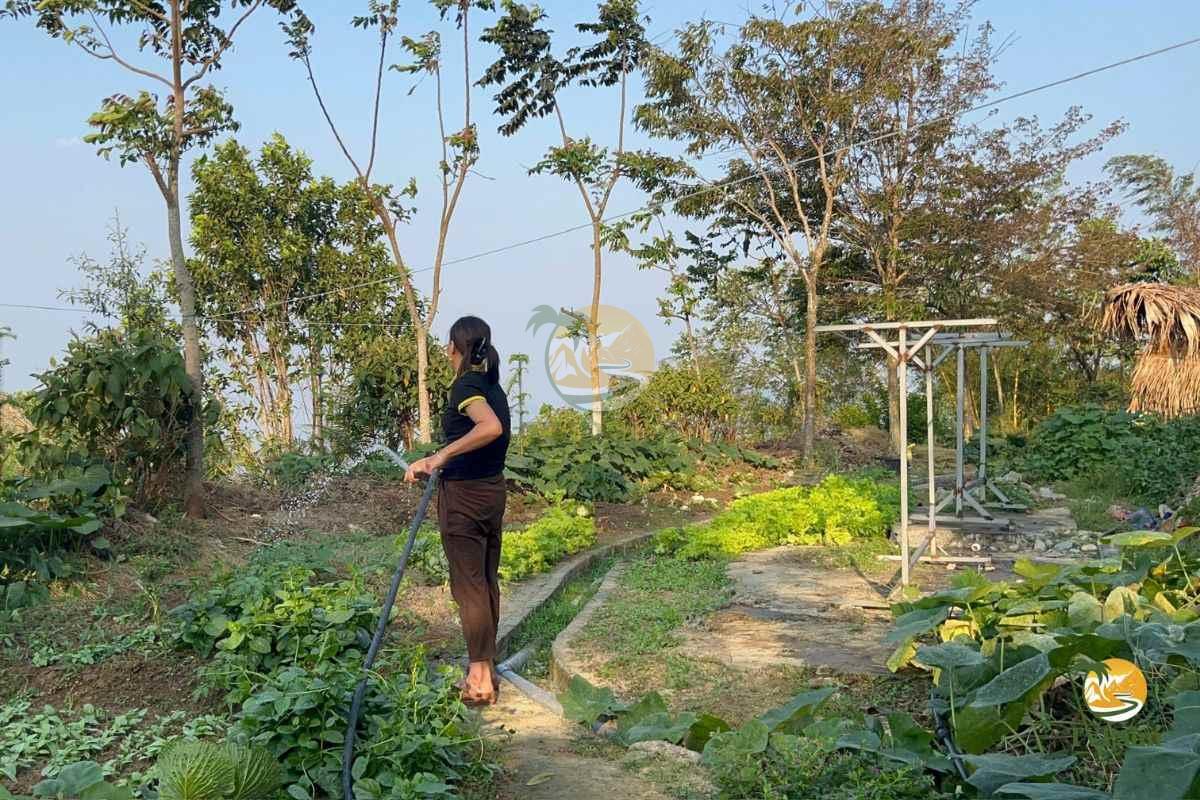Peaceful pathway through the farm at Palm Eco-Garden