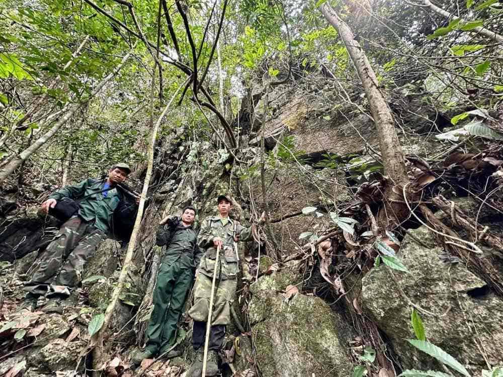 Rangers traversing rocky forest