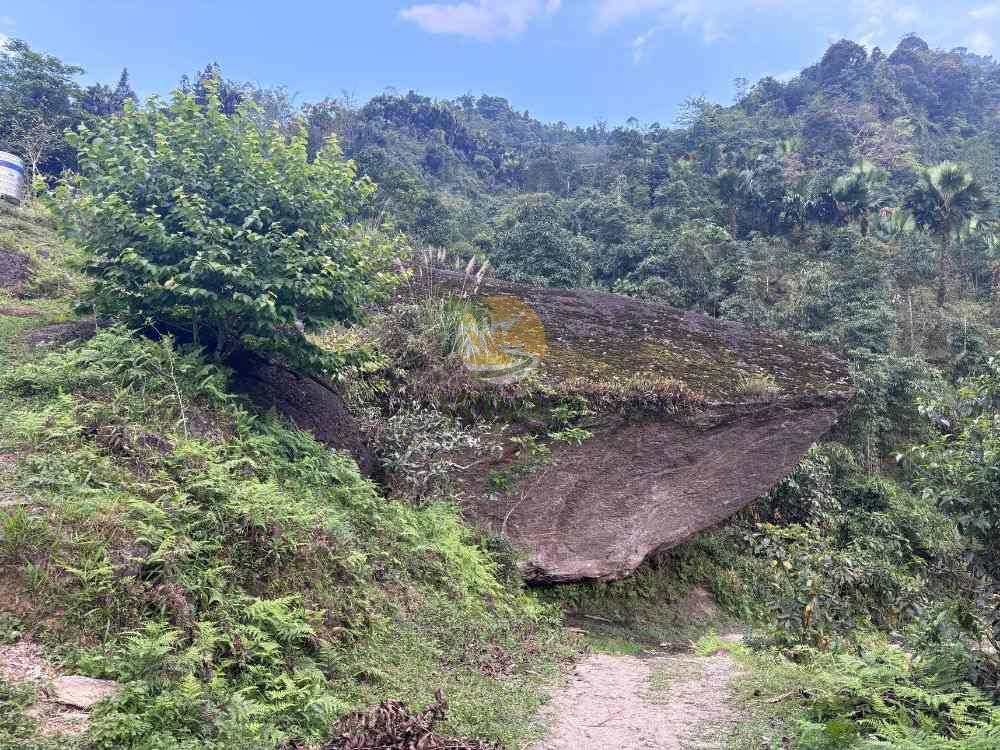 Rocky mountain path in the forest, 2 Days 1 Night Khuoi My - Xa Phin expedition