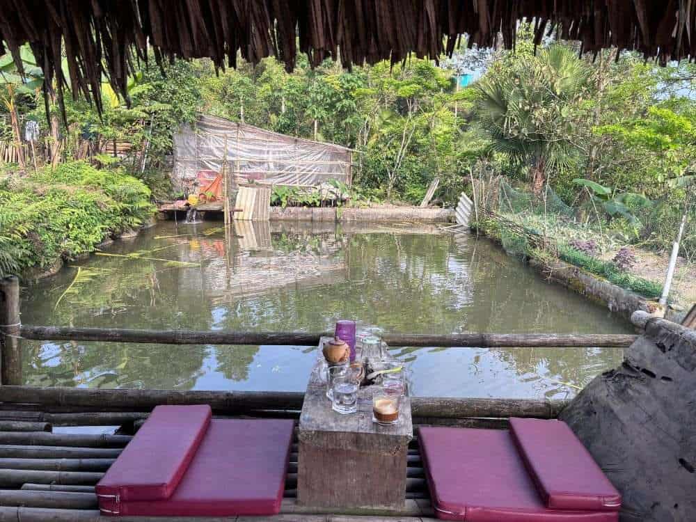 Scenic pond view by the wooden hut