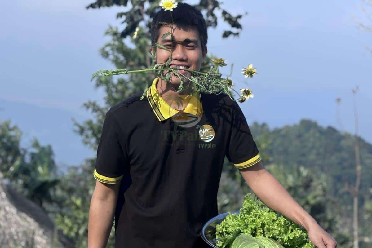 Scenic view of the lush landscape at Palm Eco-Garden