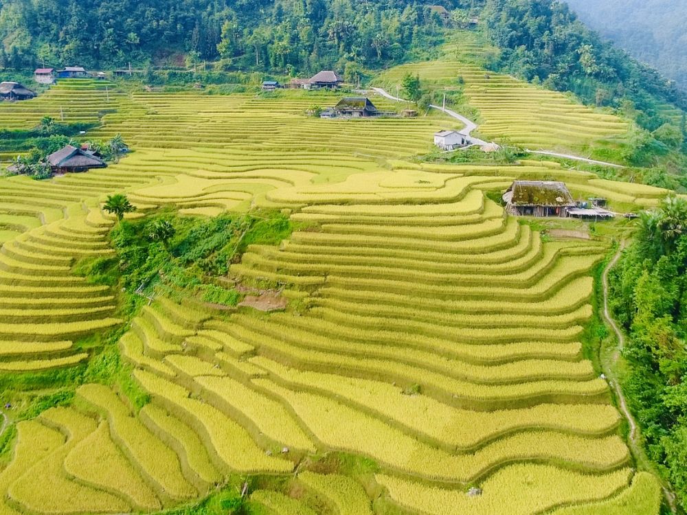 Tay Con Linh Mountain Trekking Itinerary - Xa Phin village
